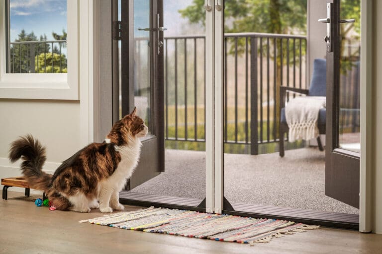 4 Reasons Why Retractable Fly Screens Make Your Pets Lives Better