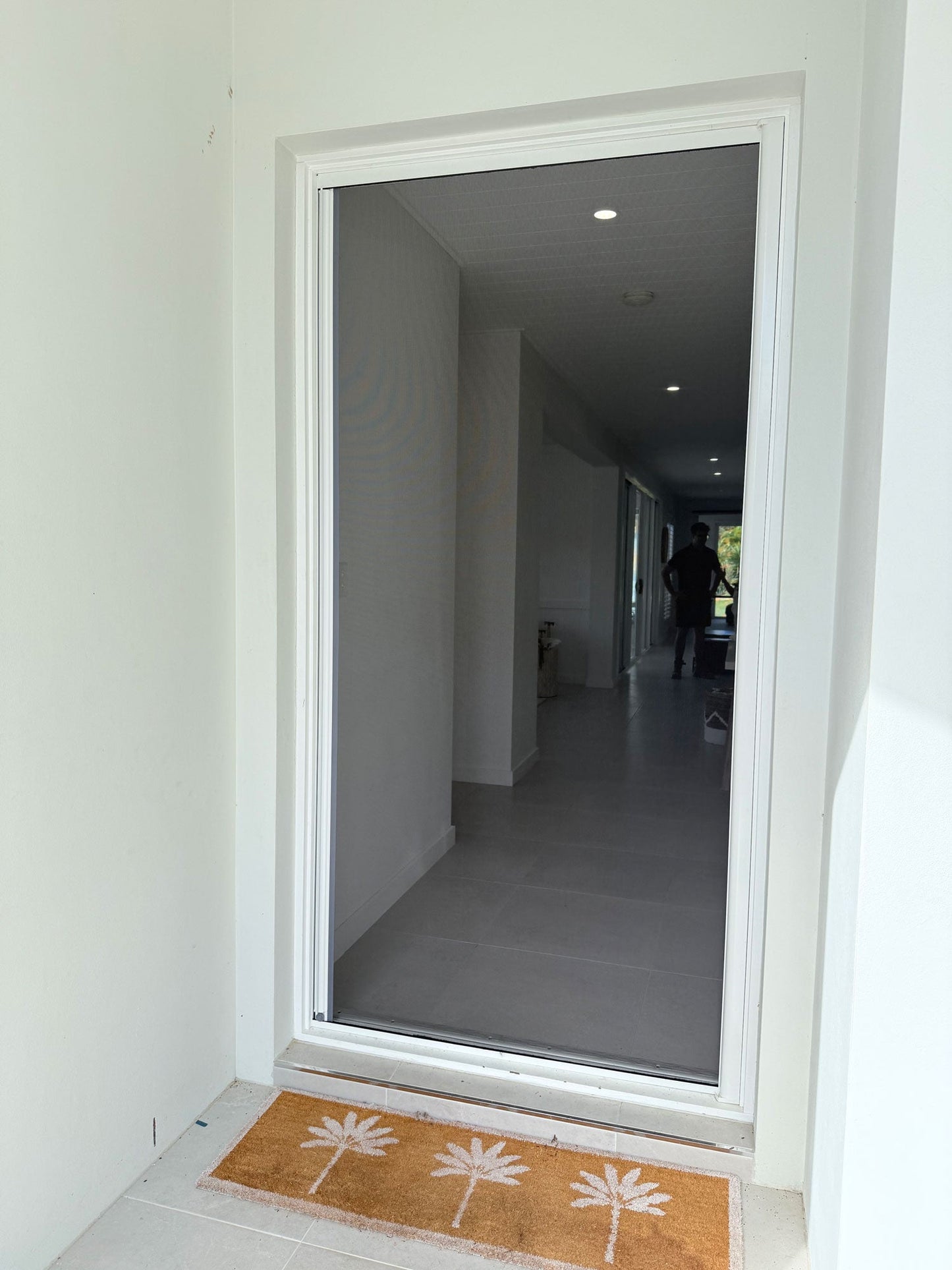 Single Door Retractable Fly Screen